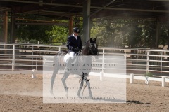 HCWE-Sept-Sun-Dressage-0329