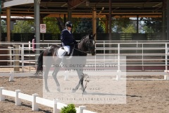 HCWE-Sept-Sun-Dressage-0331