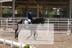 HCWE-Sept-Sun-Dressage-0333