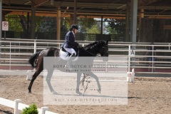 HCWE-Sept-Sun-Dressage-0334
