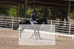 HCWE-Sept-Sun-Dressage-0335