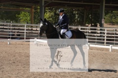 HCWE-Sept-Sun-Dressage-0336