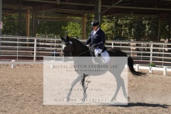 HCWE-Sept-Sun-Dressage-0337
