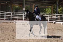HCWE-Sept-Sun-Dressage-0338