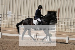 HCWE-Sept-Sun-Dressage-0343