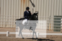 HCWE-Sept-Sun-Dressage-0344