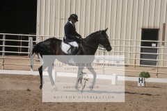 HCWE-Sept-Sun-Dressage-0346