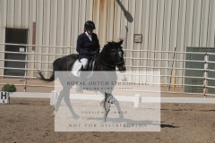 HCWE-Sept-Sun-Dressage-0347