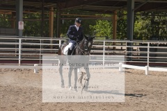 HCWE-Sept-Sun-Dressage-0351