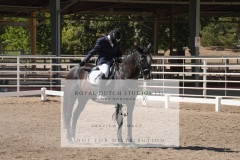HCWE-Sept-Sun-Dressage-0353