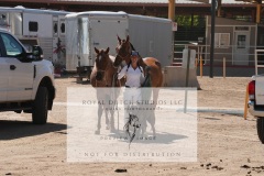 HCWE-Sept-Sun-Dressage-0355