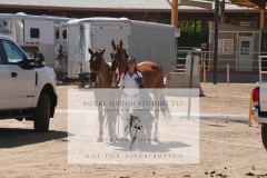 HCWE-Sept-Sun-Dressage-0356