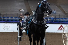 Untitled-0073-7