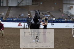 Untitled-0075-7