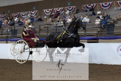 Untitled-0088-6