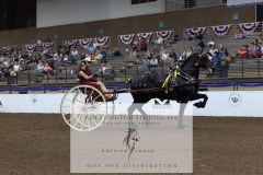 Untitled-0101-6