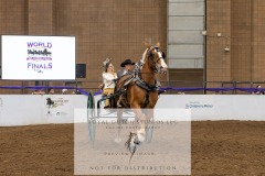 Untitled-0029-4