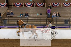 Untitled-0034-1