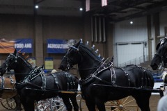 Untitled-0049-12