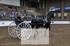 Untitled-0065-11