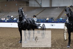 Untitled-0073-10