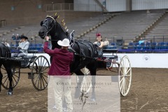 Untitled-0074-10