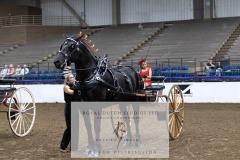 Untitled-0075-10