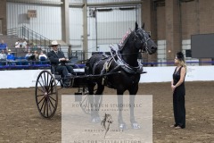 Untitled-0076-10