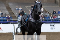 Untitled-0077-10