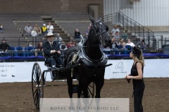 Untitled-0078-10