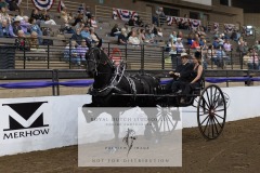 Untitled-0083-9