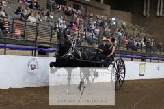 Untitled-0084-9