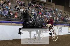 Untitled-0087-9