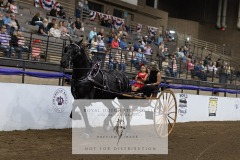 Untitled-0089-9