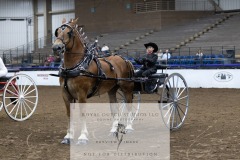 Untitled-0092-9