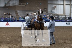 Untitled-0094-9