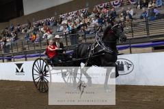 Untitled-0098-9