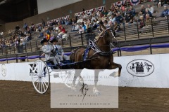 Untitled-0102-9