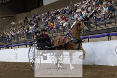 Untitled-0110-9