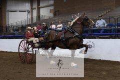 Untitled-0114-9